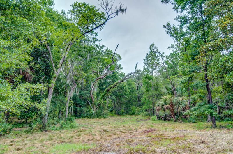 2044 Shell Island Ace Trl, Johns Island, SC 29455
