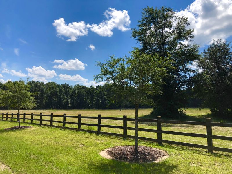 7 Bradley Pasture Way, Ravenel, SC 29470