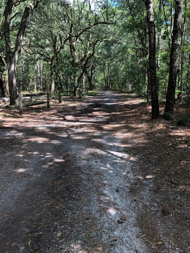 6038 Chisolm Rd, Johns Island, SC 29455