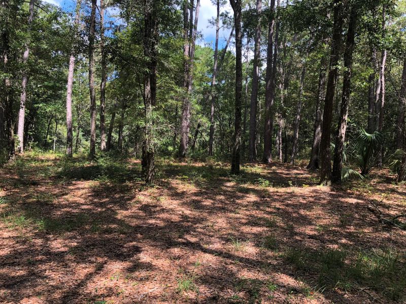 6038 Chisolm Rd, Johns Island, SC 29455