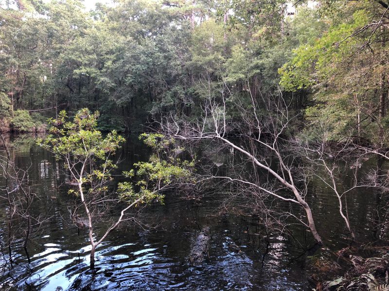 6038 Chisolm Rd, Johns Island, SC 29455