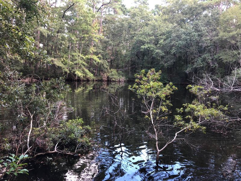 6038 Chisolm Rd, Johns Island, SC 29455