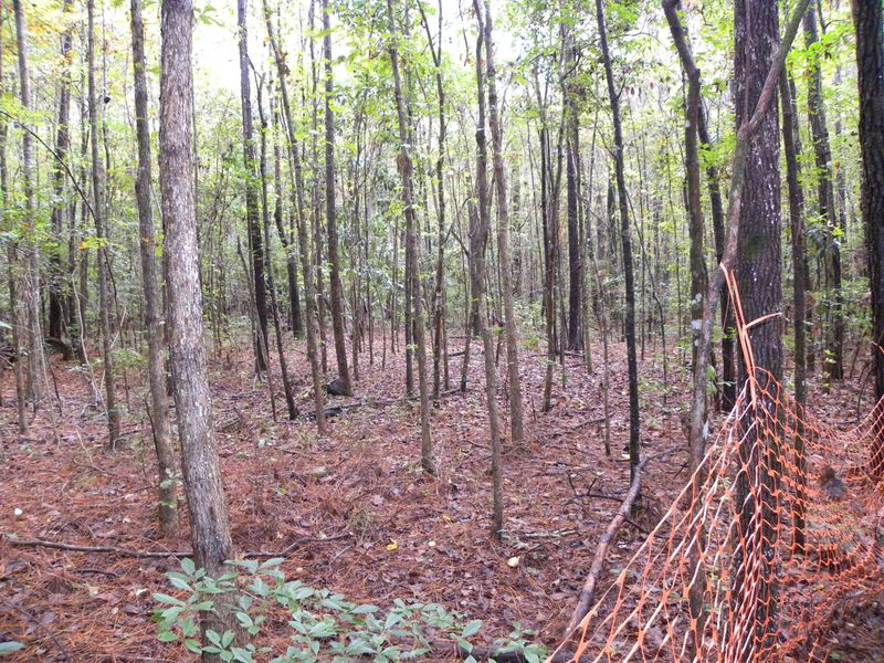 0 Sand Dollar Ln, Summerville, SC 29483