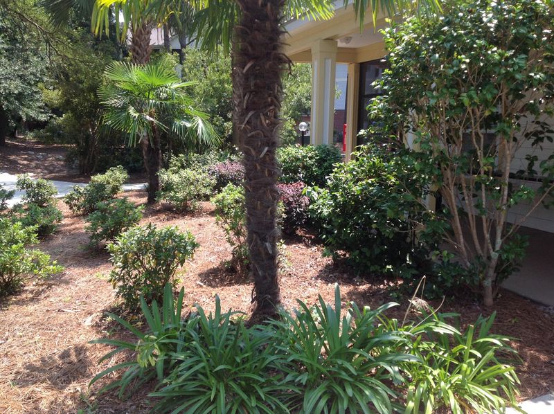 1025 Riverland Woods Pl #622, Charleston, SC 29412