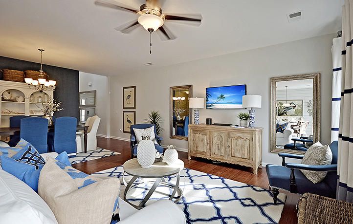 209 Firewheel Ct, Summerville, SC 29486
