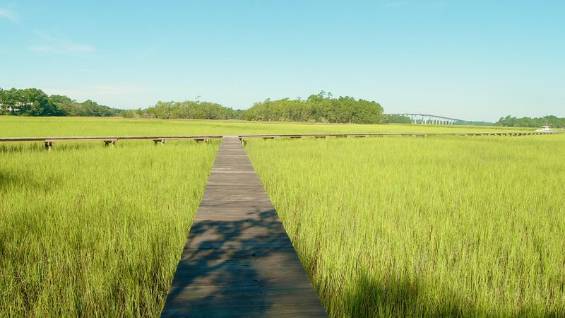 314 River Oak Dr Lot 3, Mount Pleasant, SC 29464