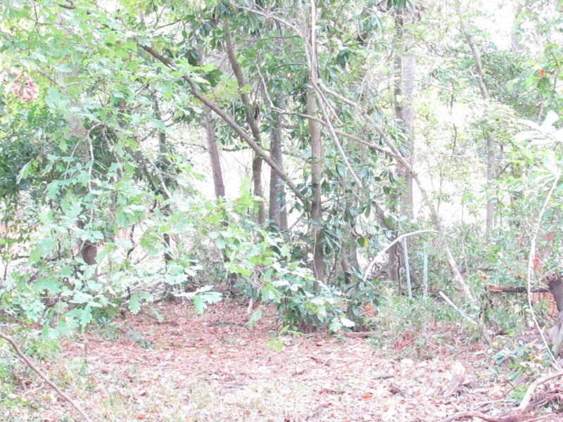 160 Brogun Ln, Charleston, SC 29414