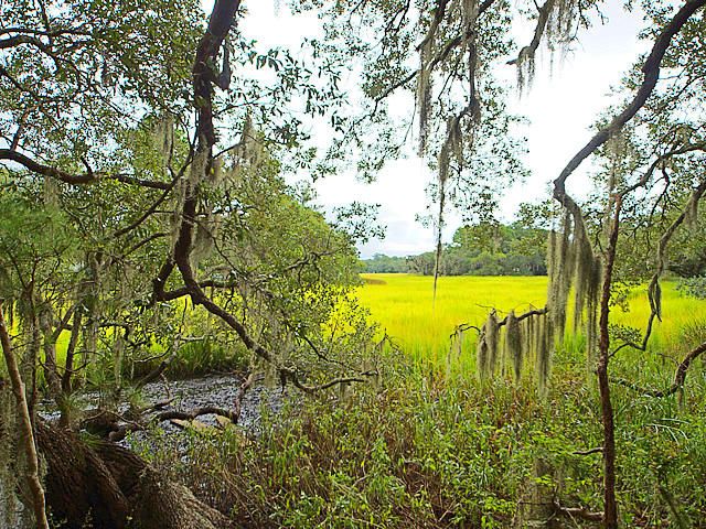 693 Whispering Marsh Dr, Charleston, SC 29412