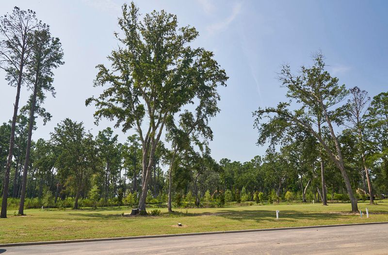 321 Bayley Rd, Charleston, SC 29492