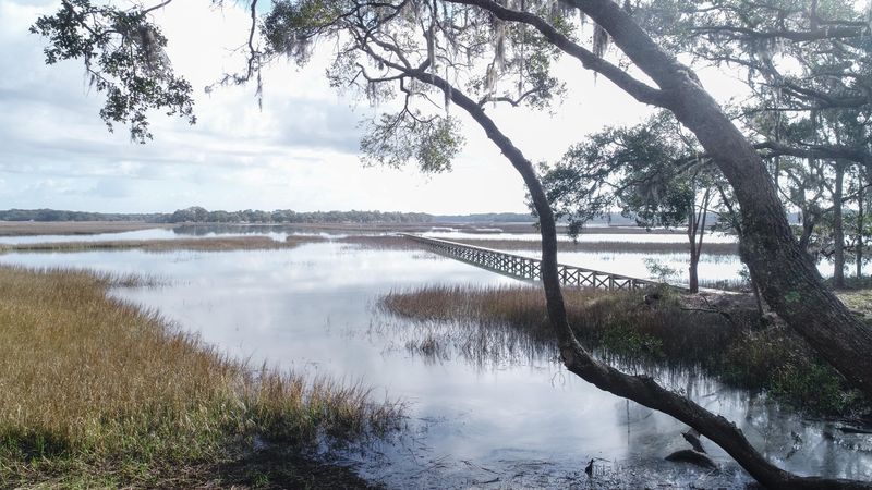 6150 Rockefeller Rd, Wadmalaw Island, SC 29487