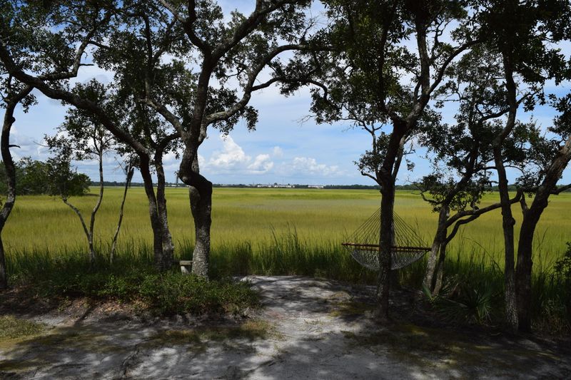 503 Saint Charles Ct, Charleston, SC 29407