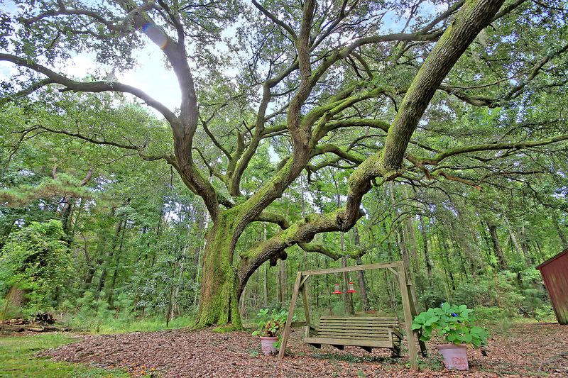 3953 Humbert Rd, Johns Island, SC 29455