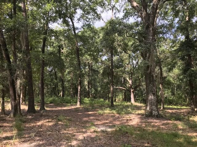 30-B Pawlett Blake Ln, Wadmalaw Island, SC 29487