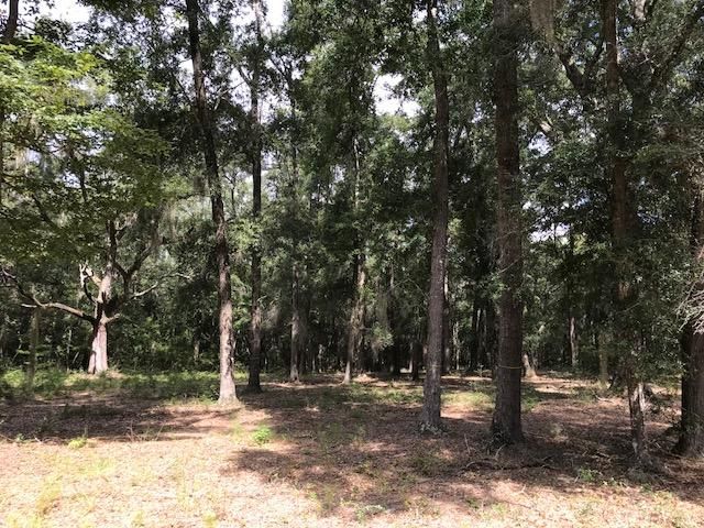 30-B Pawlett Blake Ln, Wadmalaw Island, SC 29487