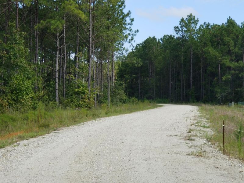 7565 Seattle Slew Ct, Awendaw, SC 29429