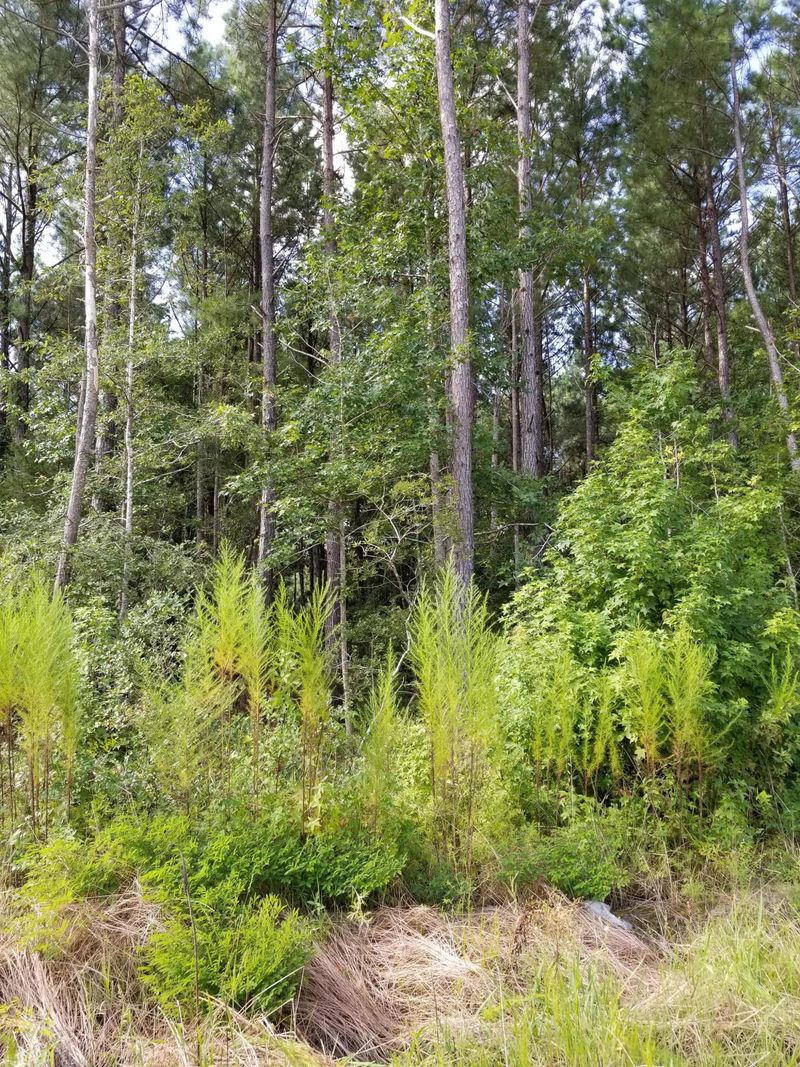 7565 Seattle Slew Ct, Awendaw, SC 29429
