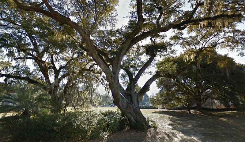 2228 Arthur Gaillard Ln, Charleston, SC 29414