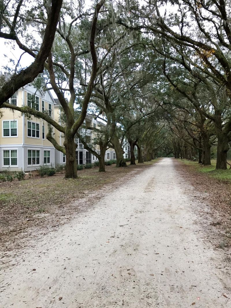 60 Fenwick Hall Allee Al #236, Johns Island, SC 29455