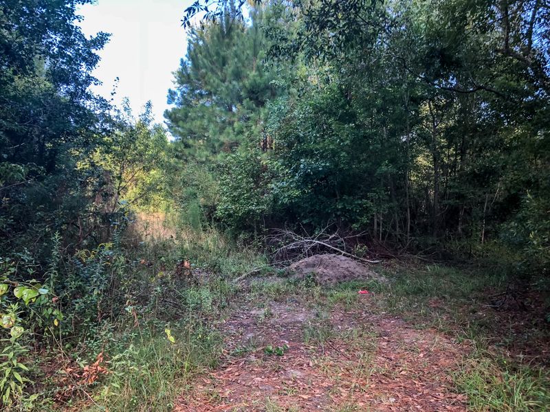 0 Wildwood Ln, Moncks Corner, SC 29461