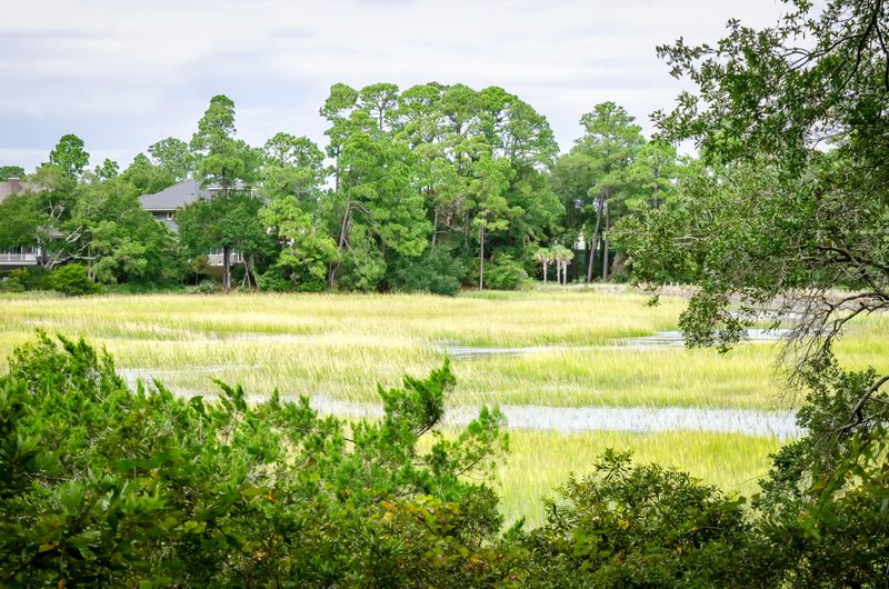 700 Glossy Ibis Ln, Kiawah Island, SC 29455