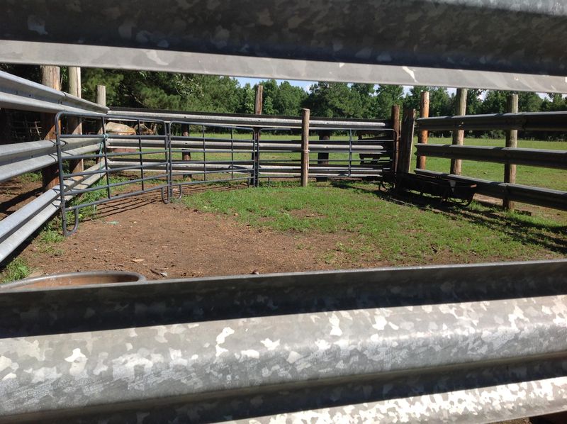 182 Radio Rd, Saint George, SC 29477