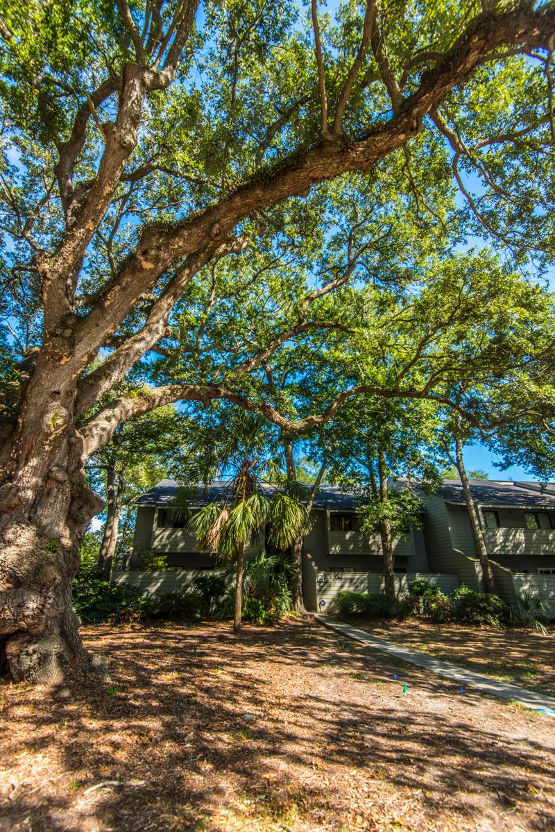 1178 Village Creek Ln #4, Mount Pleasant, SC 29464