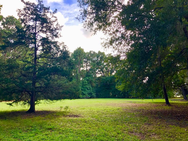 1463 Wescott Rd, Edisto Island, SC 29438
