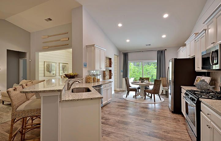 209 Witch Hazel St, Summerville, SC 29486