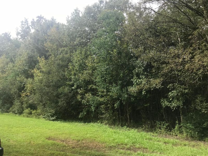 153 Bobs Corner Dr, Moncks Corner, SC 29461