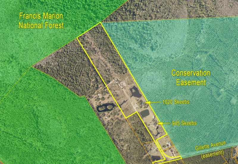 1020 Skeebs St, Mcclellanville, SC 29458