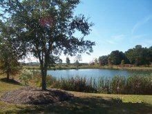 1449 Mcpherson, Johns Island, SC 29455