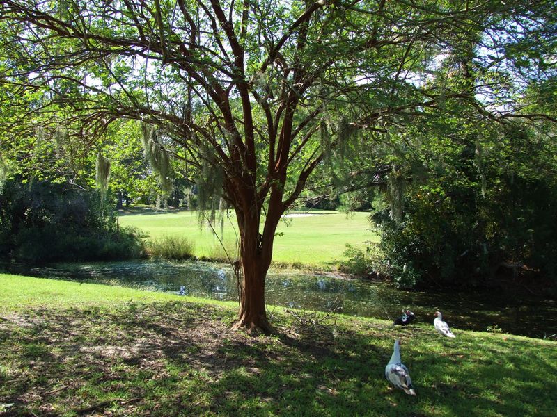 2170 Bees Ferry Rd #G, Charleston, SC 29414