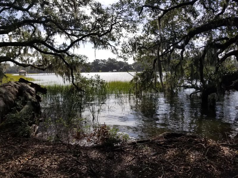 10 Salty Dog Ln, Meggett, SC 29449