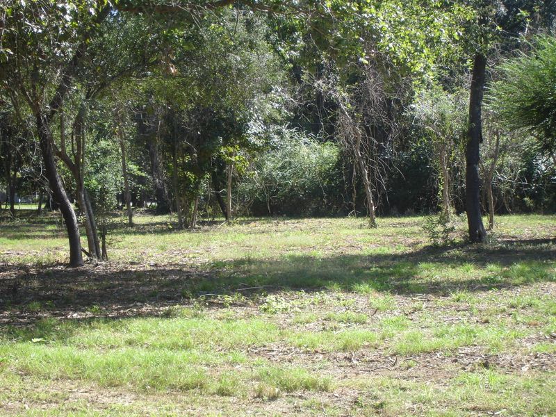 4 Salty Dog Ln, Meggett, SC 29449