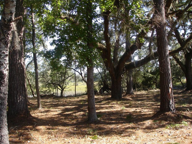 2 Salty Dog Ln, Meggett, SC 29449