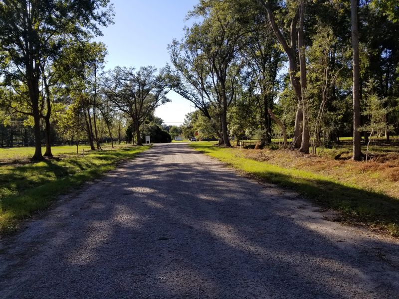 2 Salty Dog Ln, Meggett, SC 29449