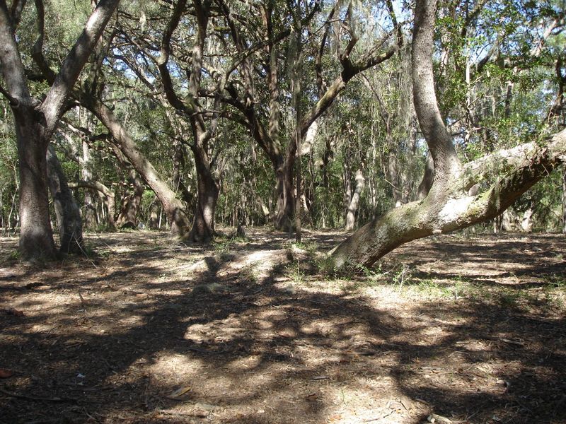 1 Salty Dog Ln, Meggett, SC 29449