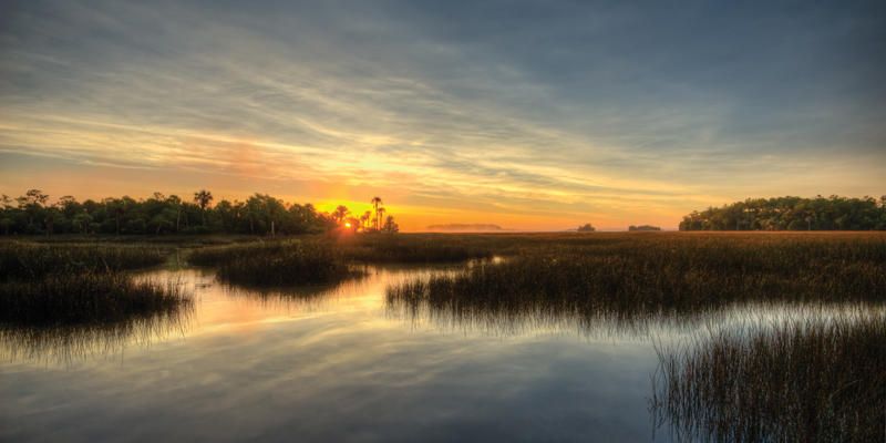 169 Nobels Point St, Daniel Island, SC 29492