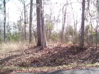 0 No Address Lot 10, Moncks Corner, SC 29461