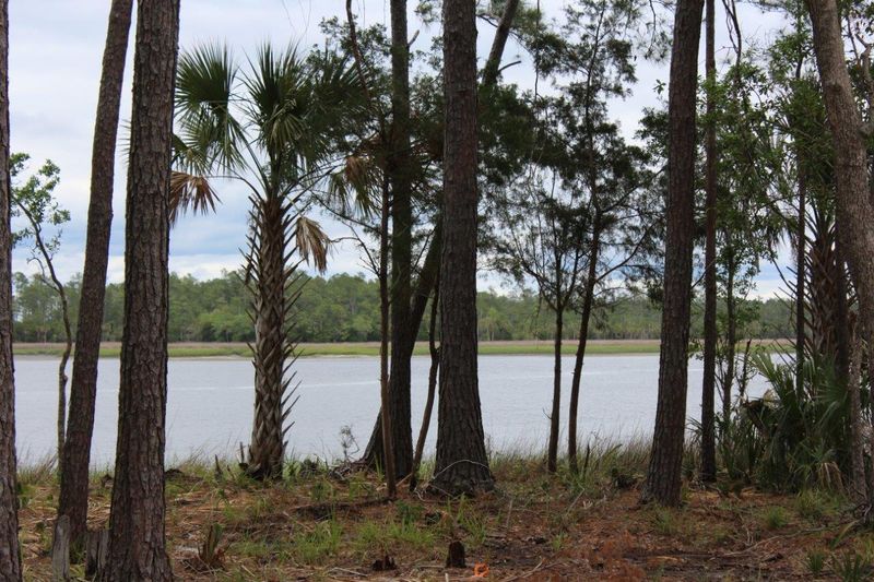 2904 River Vista Way, Mount Pleasant, SC 29466