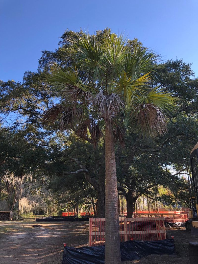 1416 Jackson St Lot 7, Mount Pleasant, SC 29464