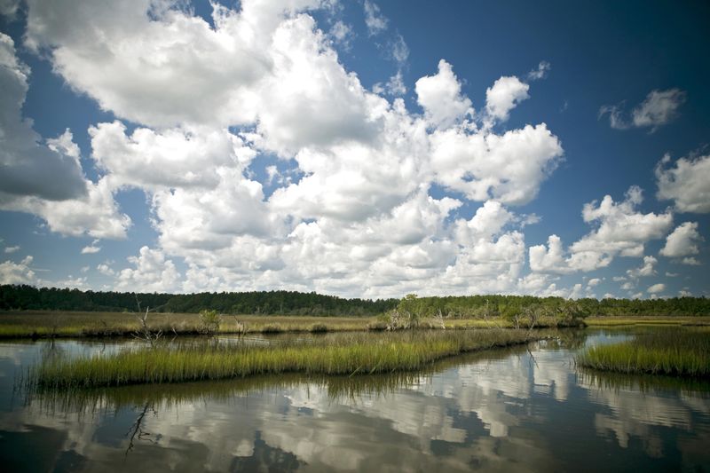 4382 Ten Shillings Way, Ravenel, SC 29470