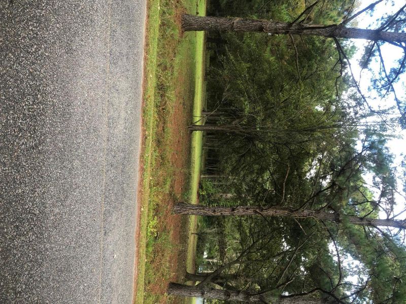 0 Pritcha Green Rd, Mount Pleasant, SC 29429