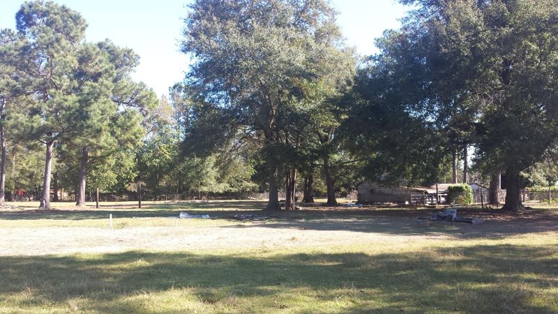 204 Indian Field Cir, Saint George, SC 29477