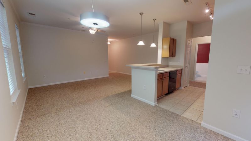 1225 Blakeway St #703, Daniel Island, SC 29492