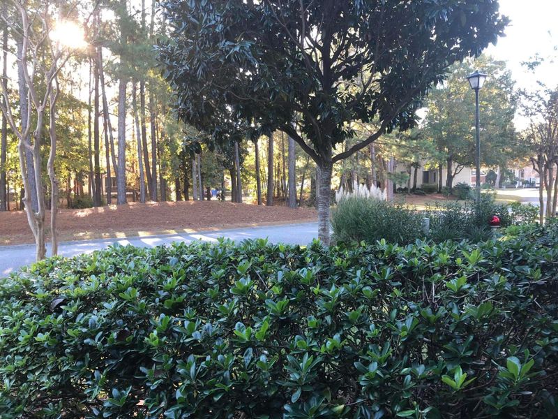 1269 Sam Snead Dr, Mount Pleasant, SC 29466