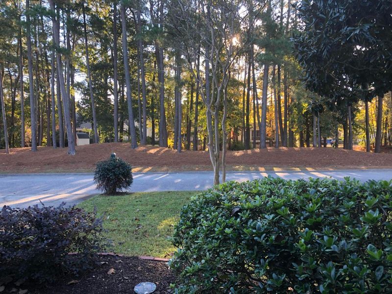 1269 Sam Snead Dr, Mount Pleasant, SC 29466