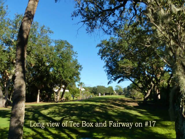 215 Sea Cloud Cir, Edisto Island, SC 29438