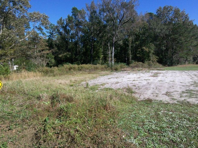 131 Hill Branch Rd, Ridgeville, SC 29472