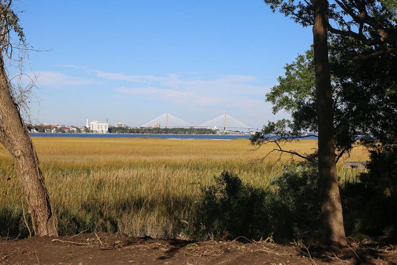 Lot 6 White Point Blvd, Charleston, SC 29412